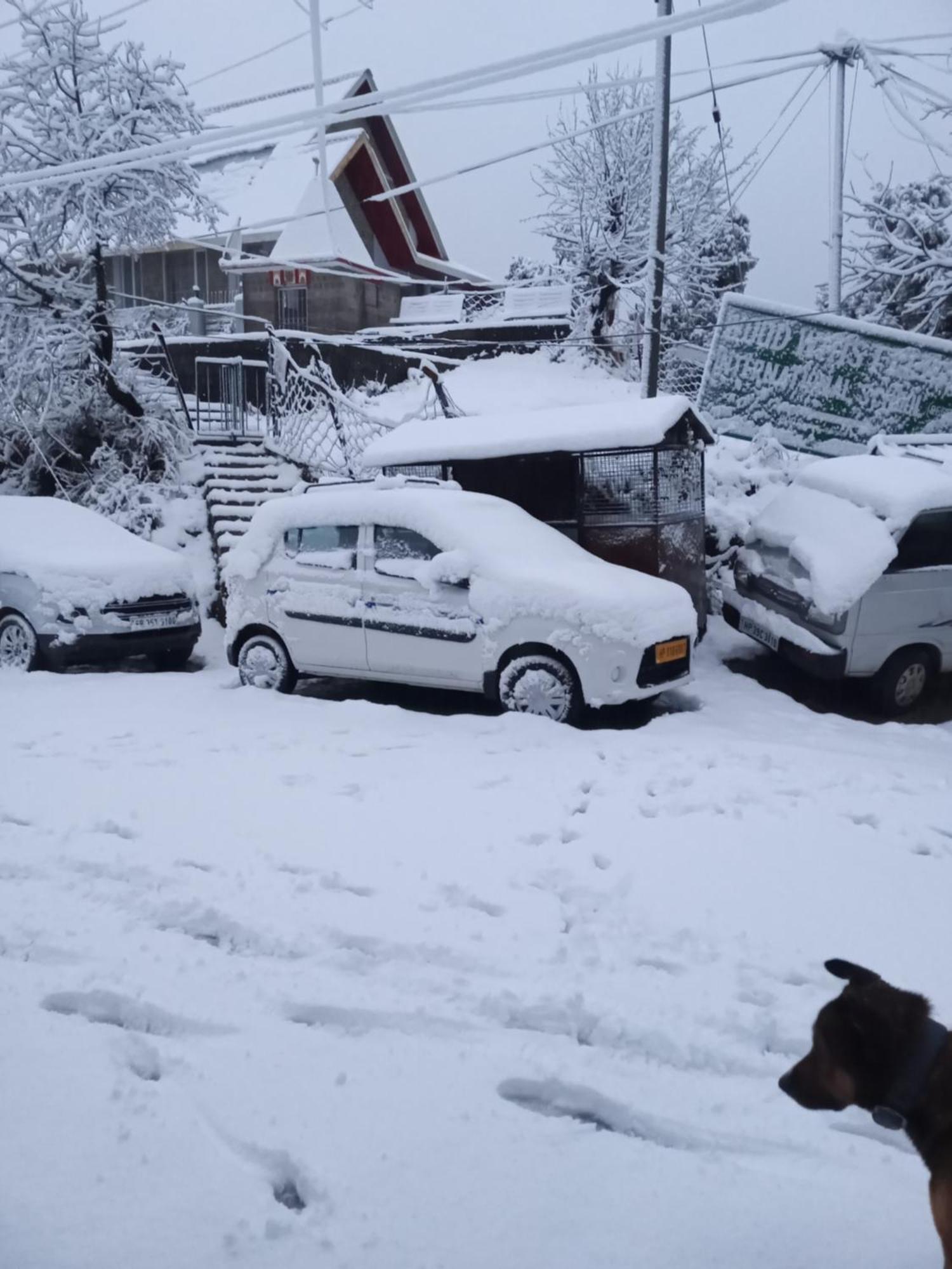 Nirmal Homestay Νταραμσάλα Εξωτερικό φωτογραφία