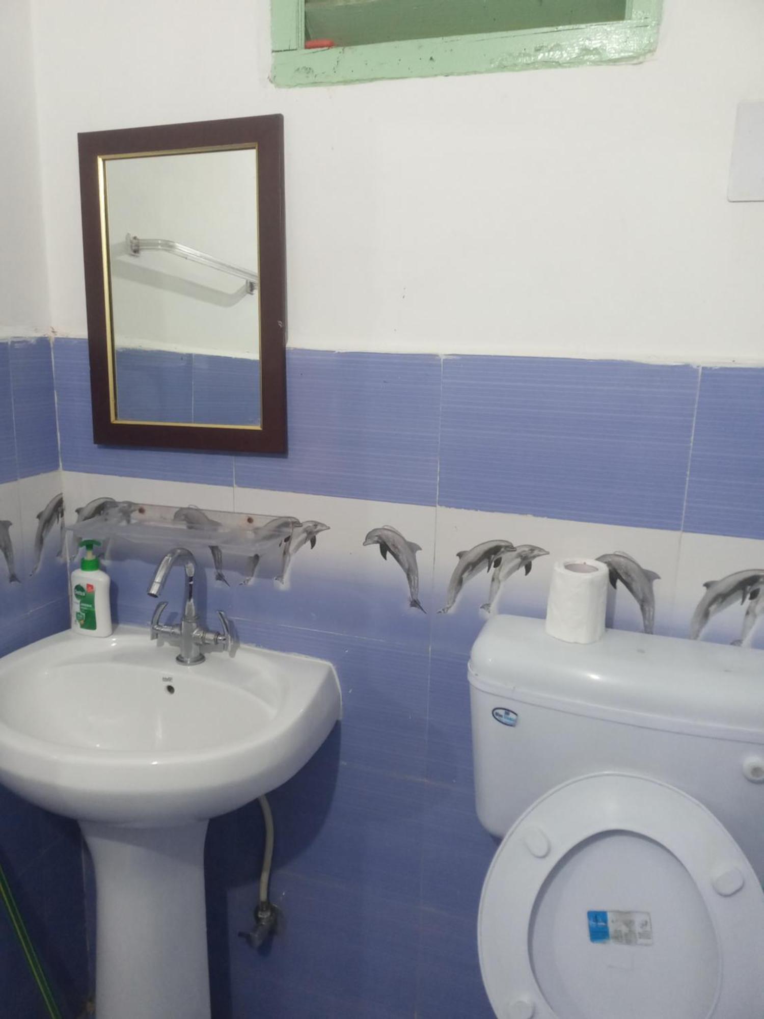 Nirmal Homestay Νταραμσάλα Εξωτερικό φωτογραφία